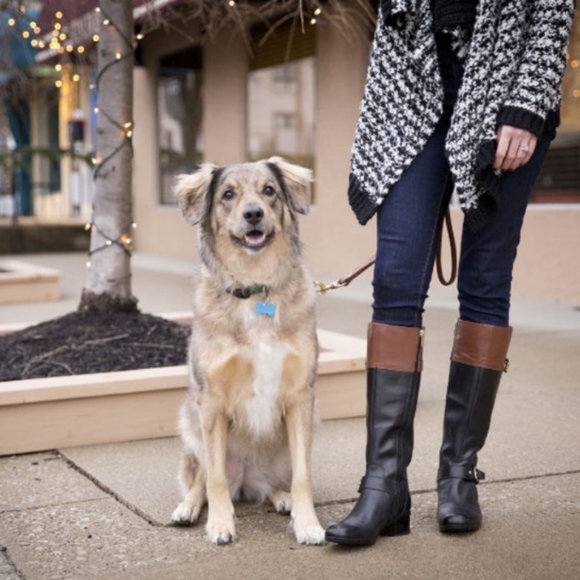 bandolino jimani boots